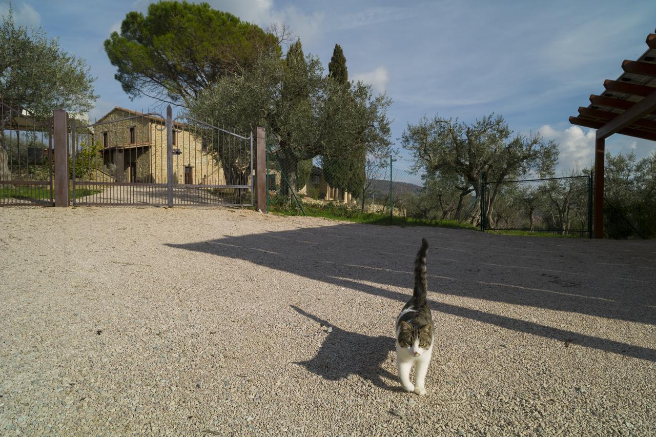 الشقق الفندقية باسّينيانو سول تْرازيفي  Antico Casale Tiravento المظهر الخارجي الصورة